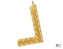 Նկար 10